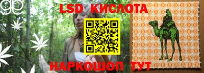 apvp Лесной