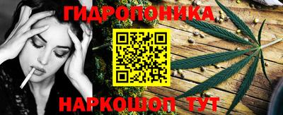 apvp Лесной